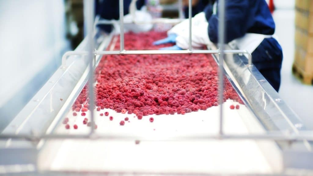 kiralık chiller